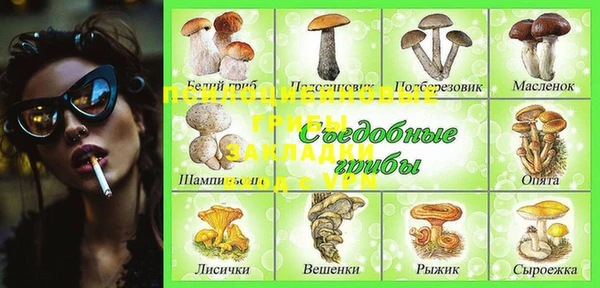 метамфетамин Дмитриев