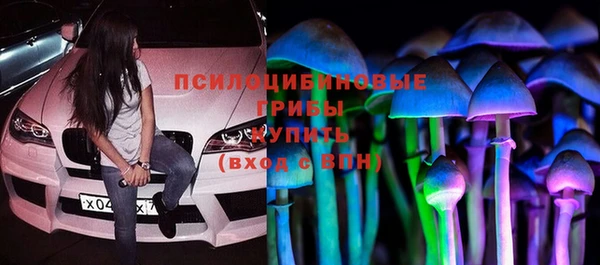 а пвп мука Дмитров