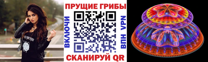 Купить  Сатка  Псилоцибиновые грибы Psilocybine cubensis 